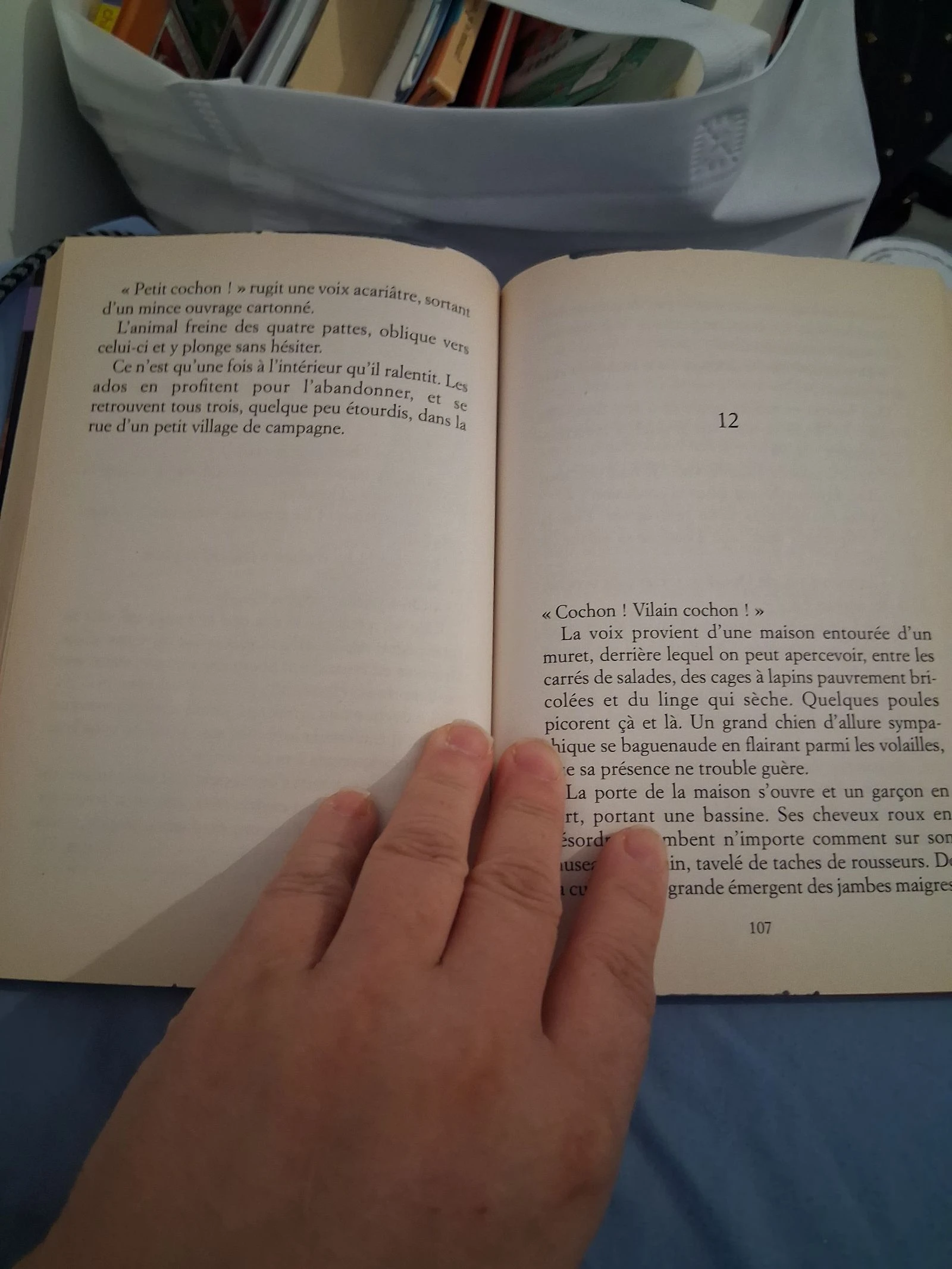 La bibliotecaria – photo 3